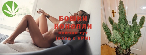 ГАЛЛЮЦИНОГЕННЫЕ ГРИБЫ Нефтегорск
