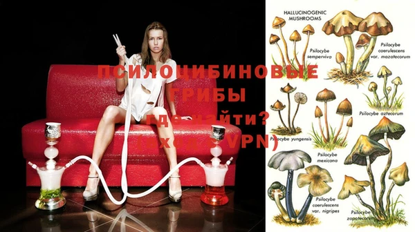 spice Новозыбков