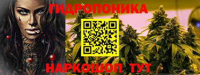 молекула духа Краснодар