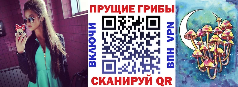 Псилоцибиновые грибы ЛСД продажа наркотиков нарко площадка как зайти Унеча