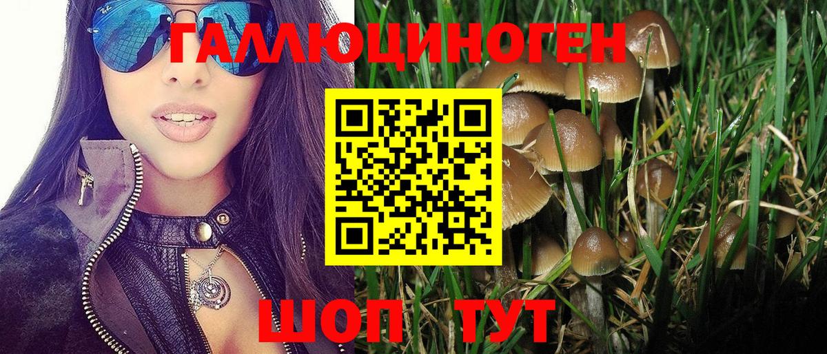 Унеча  Галлюциногенные грибы Cubensis  Вход с VPN 