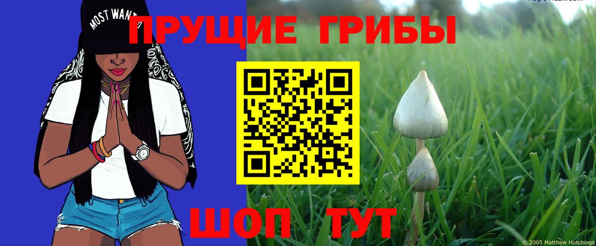 Псилоцибиновые грибы GOLDEN TEACHER Унеча